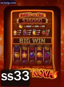 Descubra o Fascinante Mundo de FruitNova